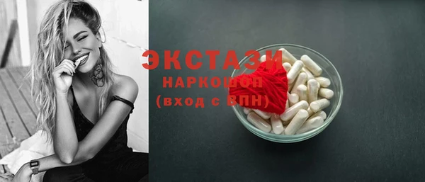 индика Гусь-Хрустальный