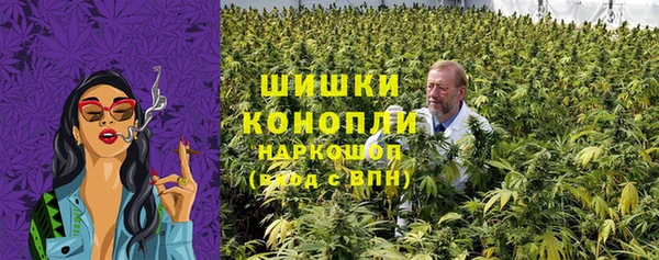 молекула духа Балахна