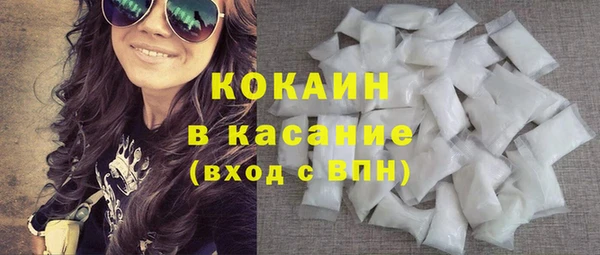 дмт Гусев