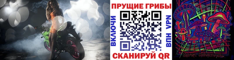 Псилоцибиновые грибы Psilocybine cubensis  hydra сайт  Темрюк  хочу  
